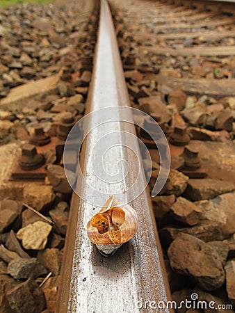 Empty broken snail shell on old rusty railway rail Stock Photo