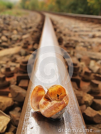 Empty broken snail shell on old rusty railway rail Stock Photo