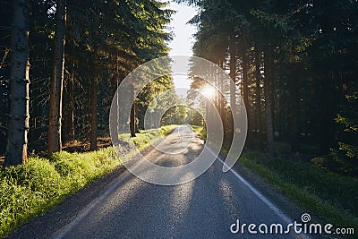 Empty country road in forest Stock Photo