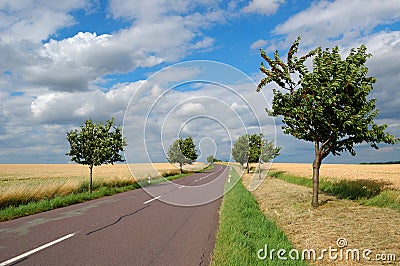 Empty countryside road Stock Photo