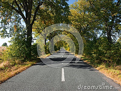 Empty countryside road with autumn trees Stock Photo