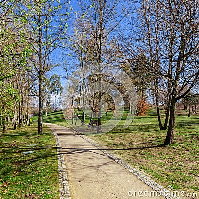 Empty dirt path, track, trail or pathway through the trees and green grass lawn Stock Photo