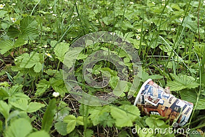 An empty drinking paper cup lies after the using in the bush beside the pavement, that is a kind of the environment pollution Stock Photo