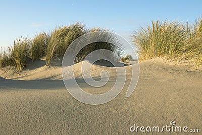 Empty dunes on a summerday Stock Photo