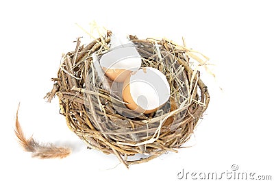 Empty egg shells in nest Stock Photo