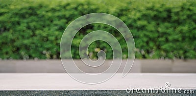 Empty flat marble stone texture floor with space green tree outdoor house garden blurred background.natural product show promotion Stock Photo