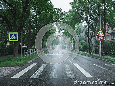 Empty foggy road in the early morning Stock Photo