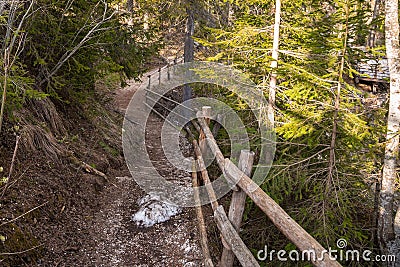 Empty forest path in the mountains in early spring Stock Photo