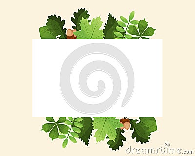 an empty frame with green forest leaves. vector illustration. place for text Vector Illustration