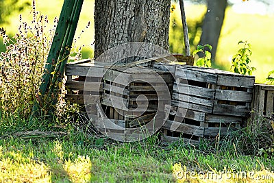 Empty fruit boxes with ladder on a meadow Stock Photo