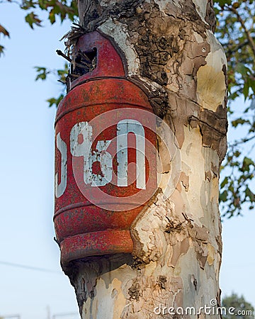 Empty gas cylinder ingrown into live tree Stock Photo