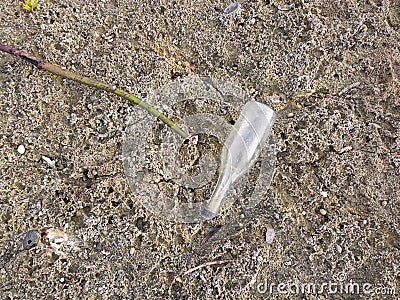 Empty Glass Bottle Trash Left on Rocky Beach Stock Photo