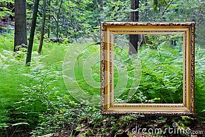 Empty golden frame in nature Stock Photo