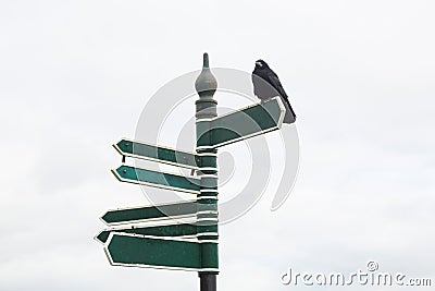 Empty signposts with Raven sitting on top Stock Photo