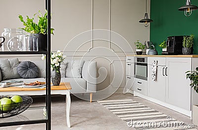 Empty green wall with copy space in elegant kitchen with white furniture,plants and coffee machine in stylish small apartment with Stock Photo