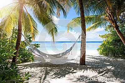 Empty hammock on a tropical beach Stock Photo