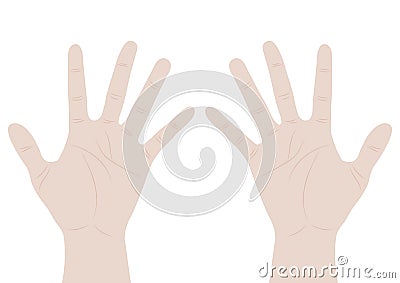 Empty Hands Isolated on White Background Vector Illustration