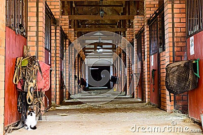 Empty horse stable Stock Photo