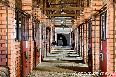 Empty horse stable Stock Photo