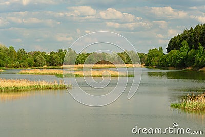 Empty lake shore with yellow reed Stock Photo