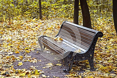 Empty lonely wooden brown bench in the city park, Yellow maple leaves. Autumn, fall season, sad mood, loneliness Stock Photo