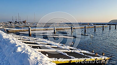 Empty marina in Gdynia city during winter season Stock Photo