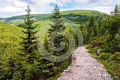 Empty mountain hiking trail Stock Photo