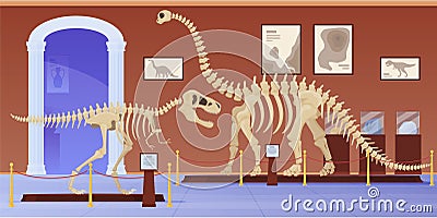 Empty museum of paleontology with dinosaurs skeletons vector flat cartoon illustration Vector Illustration