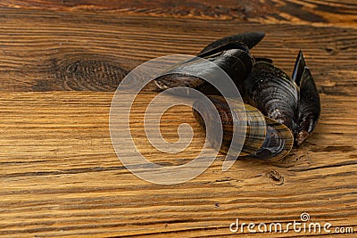 Empty Mussels Shell, Black Clams Shells, Eaten Mollusc, Shellfish, Mussel on Wood Background Top View Stock Photo