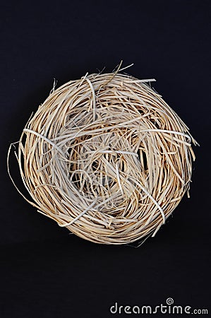 Empty Nest Stock Photo