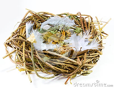 Empty nest Stock Photo