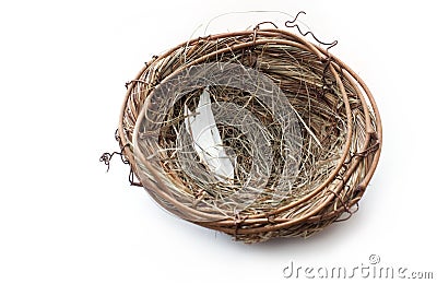 Empty Nest Stock Photo