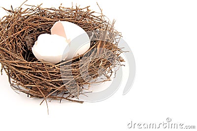 Empty Nest Stock Photo