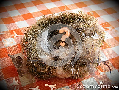 Empty nest, children gone Stock Photo