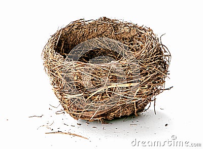 Empty nest isolated on white background - Image Stock Photo