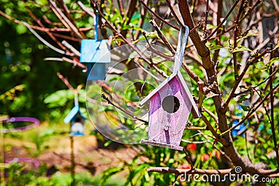 Empty nest purple birdhouse with blue on tree in spring of hope on warm sunny day Stock Photo
