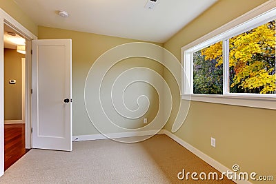 Empty new green room with beige carpet. Stock Photo