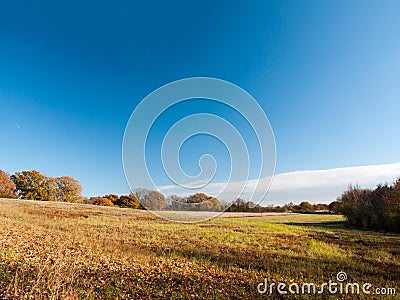 Empty open grass land farm land scene plain agriculture blue sky Stock Photo