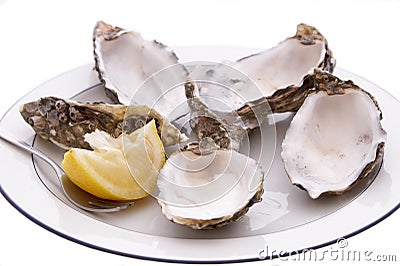 Empty Oyster Shells Stock Photo