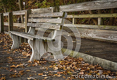 An empty park bench during Autumn. Stock Photo