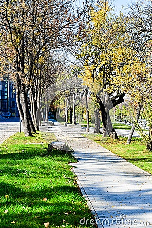 Empty park Stock Photo