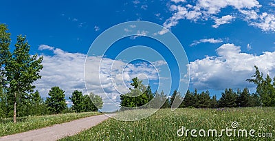 Empty Path Across Summer Meadow Stock Photo