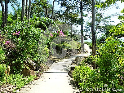 Empty patway to the tropical forest during hot day, blue sky and green lush vegetation. Winding road to the sea, Stock Photo