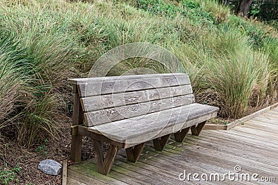 An empty peaceful bench with tall grass behind it with no one on it at the Wright family park in Bluffton, South Stock Photo
