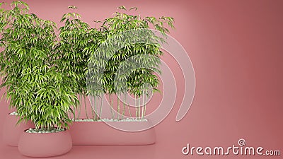 Empty pink colored interior with potted bamboo, natural interior design concept, green idea with copy Stock Photo