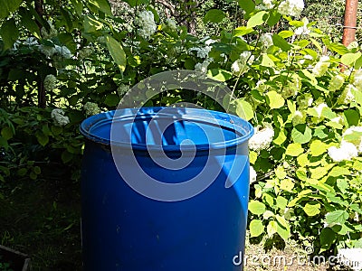 Empty, plastic water barrel prepared to be reused for collecting and storing rainwater for watering plants Stock Photo