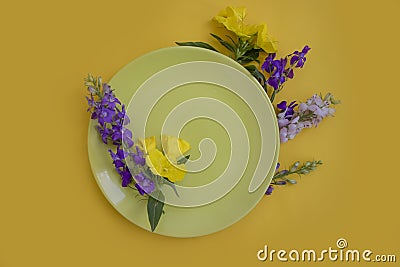 Empty plate, flower serving restaurant colored background spring bloom Stock Photo