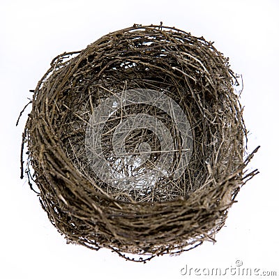 Empty real natural bird nest Stock Photo