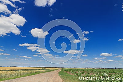 Empty road in beautiful rural landscape Stock Photo