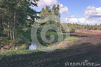 empty road in country forest - vintage film look Stock Photo